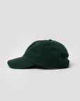 ~always-visible, Forest green with logo