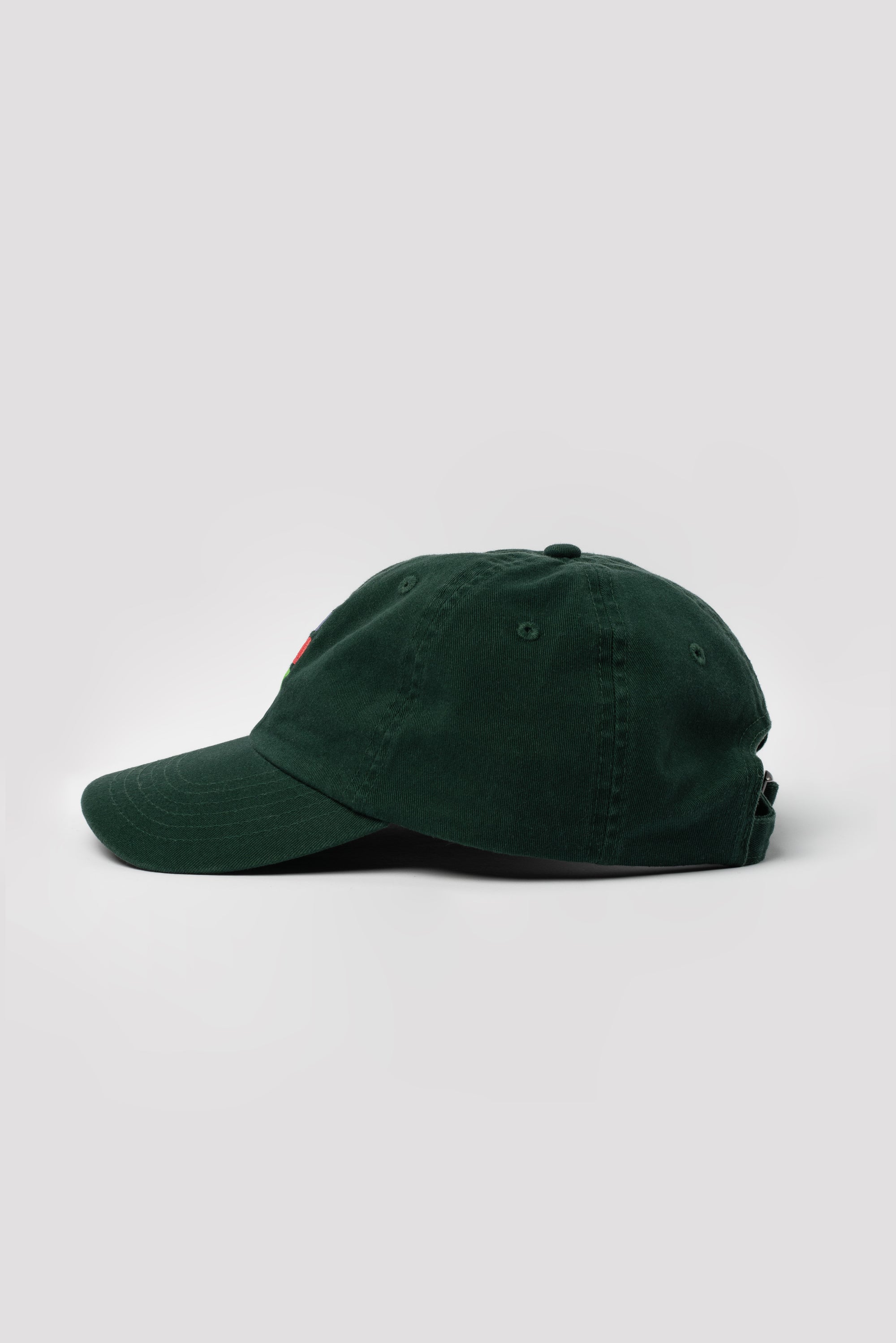 ~always-visible, Forest green with logo