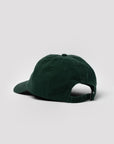 ~always-visible, Forest green with logo