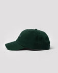 ~always-visible, Forest green with text